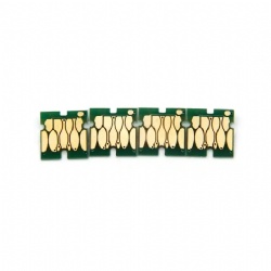 CHIP EPSON T7251-T7254
